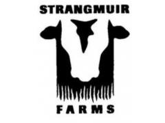 Strangmuir Holdings Ltd